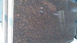 Tan Brown - Schody granitowe płomieniowane+szczotkowane